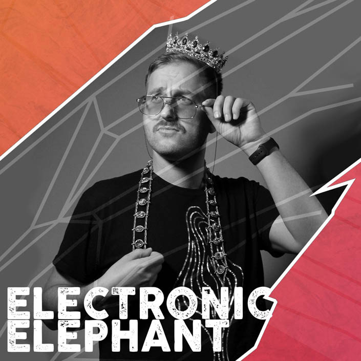 Electronic Elephant Electronic Elephant